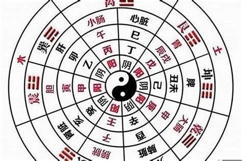 算陰命|八字命学